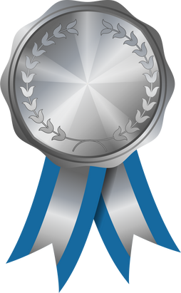 Silver Medal badge, Medal Awards trophy